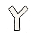 Y